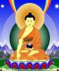 Medicine Buddha 
